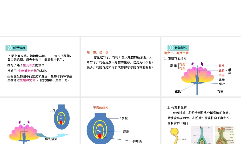 科学·技术·社会植物的组织培养-(3)
