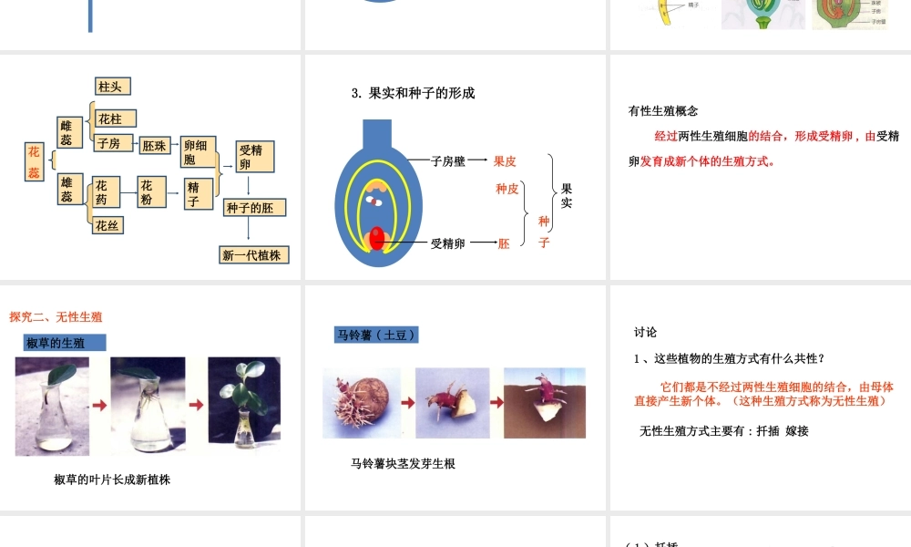科学·技术·社会植物的组织培养-(3)