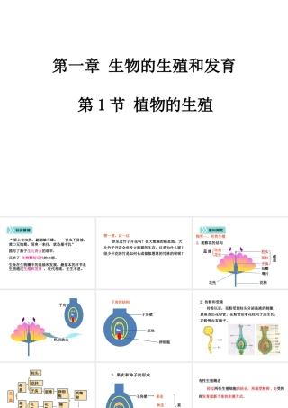 科学·技术·社会植物的组织培养-(3)