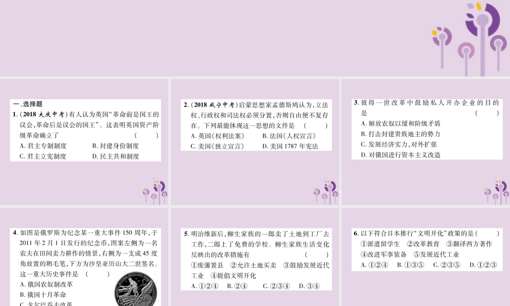 中考历史总复习 第二编 热点专题速查篇 专题6 世界近现代的重要改革与制度创新(精练)课件
