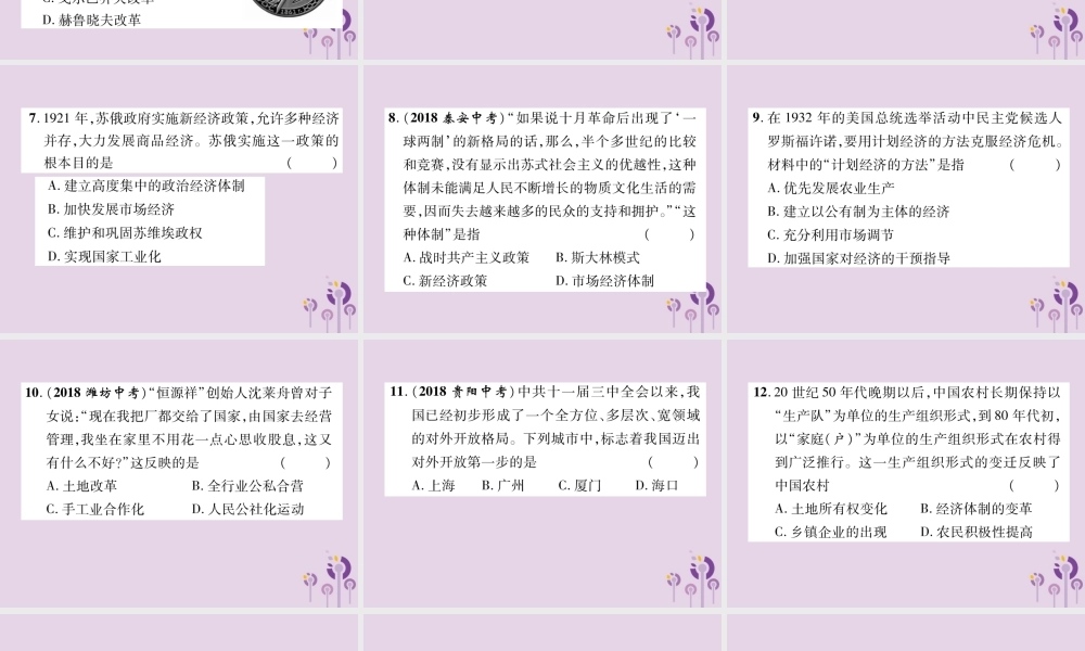 中考历史总复习 第二编 热点专题速查篇 专题6 世界近现代的重要改革与制度创新(精练)课件