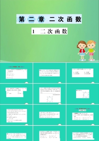 九年级数学下册 第二章 二次函数 21 二次函数训练课件 (新版)北师大版 课件
