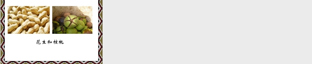 《-植物的生长-形成认识》课件1