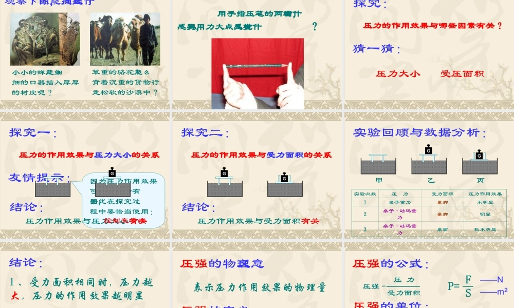 压强1 九年级物理压强课件人教版