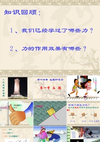 压强1 九年级物理压强课件人教版