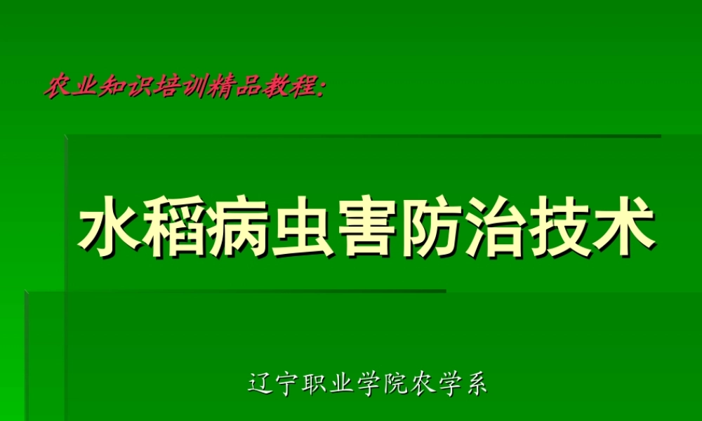 农业知识培训精品教程：水稻病虫害防治技术