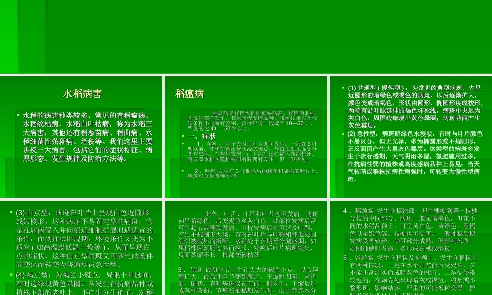 农业知识培训精品教程：水稻病虫害防治技术