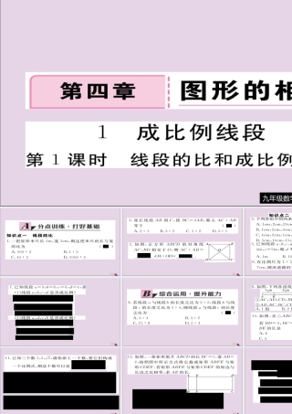 九年级数学上册 第四章 图形的相似 41 第1课时 线段的比和成比例线段习题课件 (新版)北师大版 课件