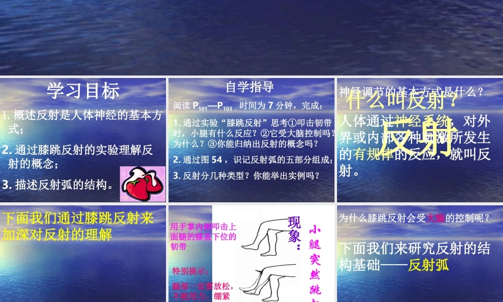 七年级生物 神经调节的基本方式1  课件