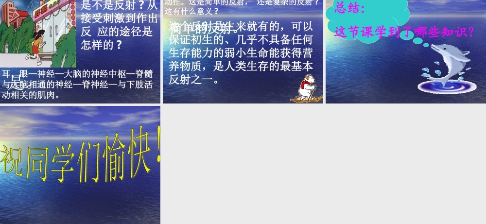 七年级生物 神经调节的基本方式1  课件