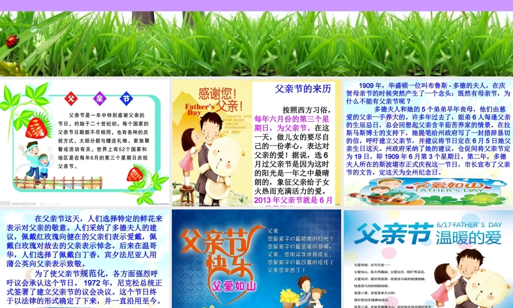 中学主题班会 节日类 父亲节课件