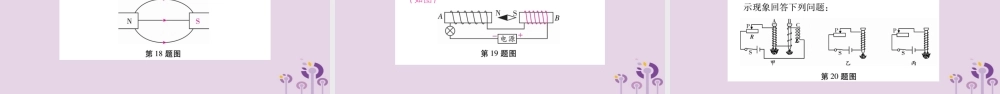 九年级物理全册 第二十章(电与磁)检测题课件 (新版)新人教版 课件