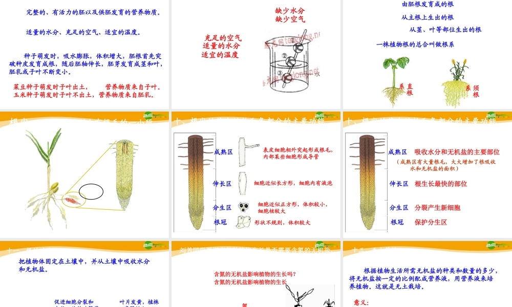 八年级生物上册 绿色开花植物的一生复习课件 济南版 课件