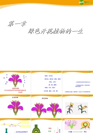 八年级生物上册 绿色开花植物的一生复习课件 济南版 课件