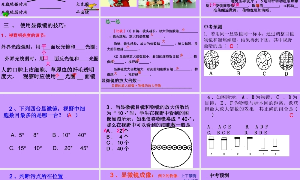 科学·技术·社会-人类探索微观世界不可缺少的工具——显微镜-(3)