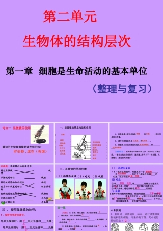 科学·技术·社会-人类探索微观世界不可缺少的工具——显微镜-(3)