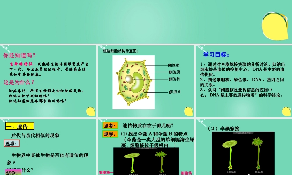 八年级生物上册 第四单元 第四章 第一节 遗传的物质基础课件(2)(新版)济南版 课件