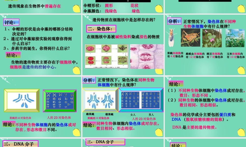 八年级生物上册 第四单元 第四章 第一节 遗传的物质基础课件(2)(新版)济南版 课件