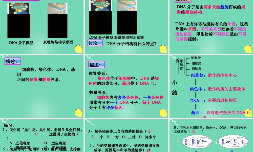 八年级生物上册 第四单元 第四章 第一节 遗传的物质基础课件(2)(新版)济南版 课件
