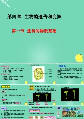 八年级生物上册 第四单元 第四章 第一节 遗传的物质基础课件(2)(新版)济南版 课件