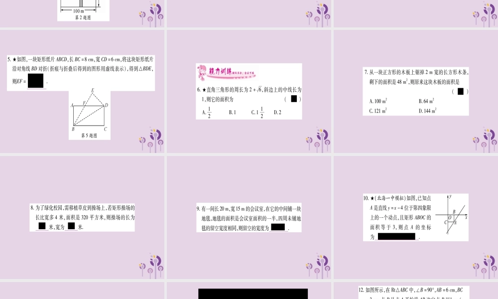 九年级数学上册 第2章 一元二次方程 25 一元二次方程的应用 第2课时 图形面积与几何问题作业课件 (新版)湘教版 课件