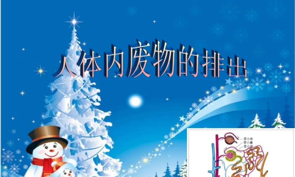 七年级生物下册 第三单元第四章人体内废物的排出复习课件 济南版 课件