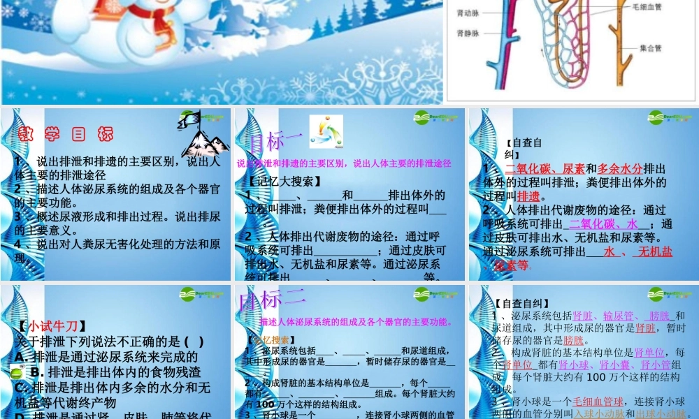 七年级生物下册 第三单元第四章人体内废物的排出复习课件 济南版 课件