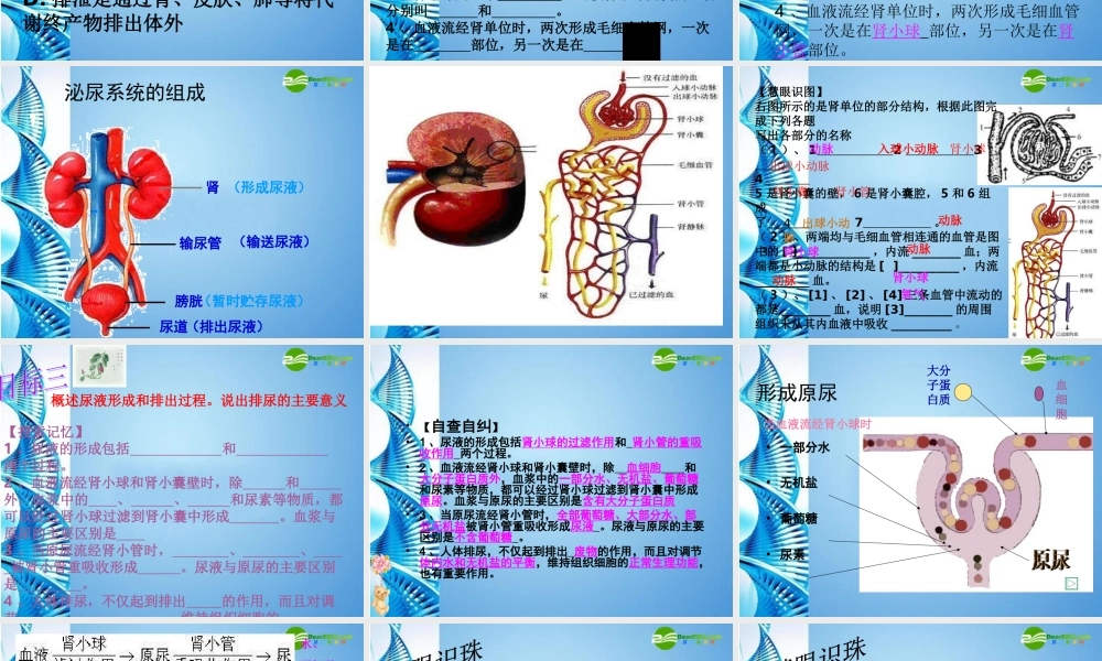 七年级生物下册 第三单元第四章人体内废物的排出复习课件 济南版 课件