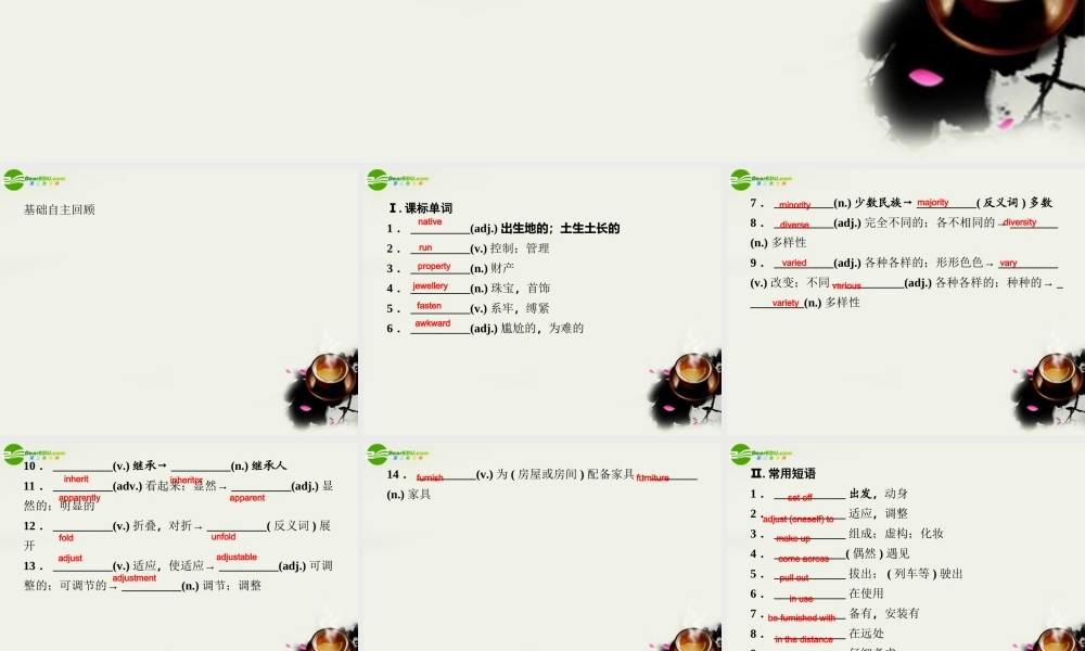 新课标高考英语一轮复习 Module5 Ethnic Culture 课件 外研版选修7 课件