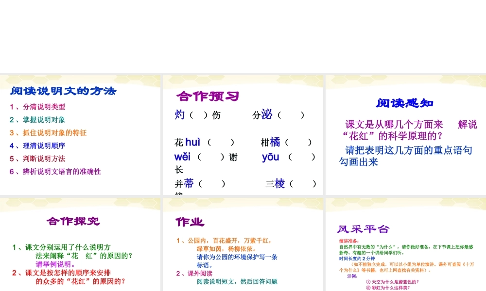 八年级语文上册 花儿为什么这样红课件 人教新课标版 课件