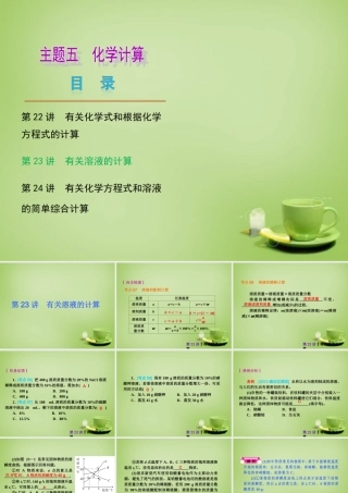 中考化学自主复习 化学计算(二)有关溶液的计算课件
