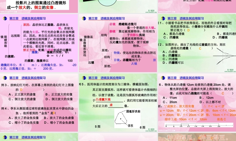 新课标 人教版初三物理总复习课件 透镜及其应用 课件