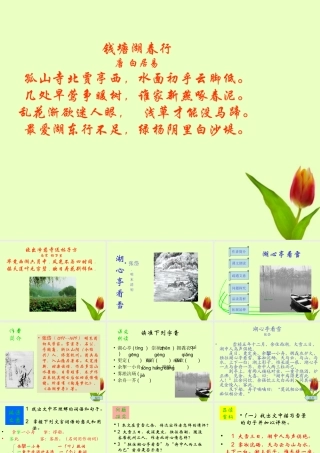 八年级语文上册 (湖心亭看雪)课件 人教新课标版 课件