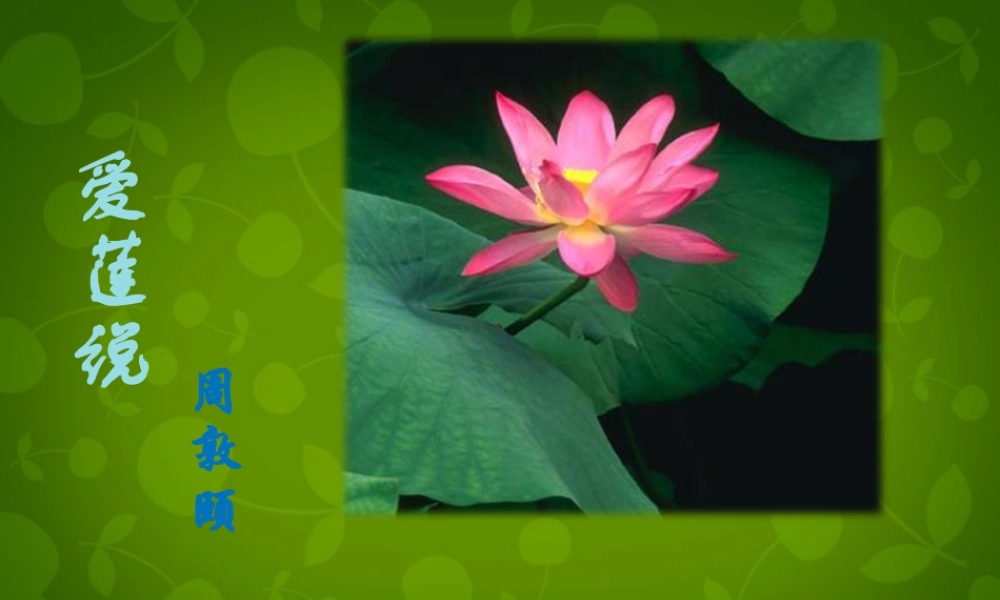 八年级语文上册 22(短文两篇)爱莲说课件 新人教版 课件