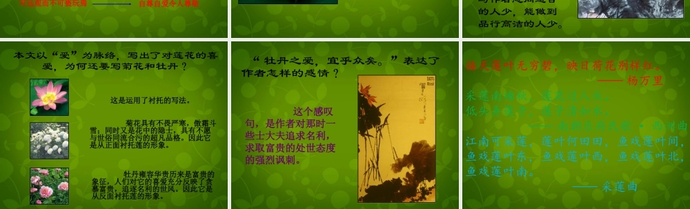 八年级语文上册 22(短文两篇)爱莲说课件 新人教版 课件