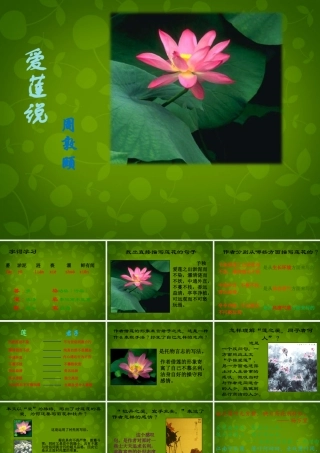 八年级语文上册 22(短文两篇)爱莲说课件 新人教版 课件