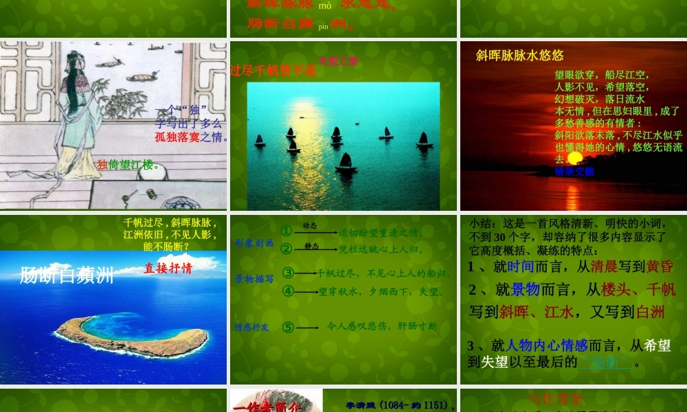 九年级语文上册(25 词五首)课件 新人教版 课件