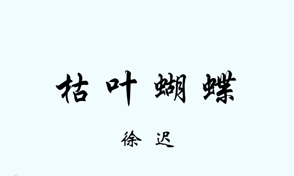 七年级语文上册 第24课(枯叶蝴蝶)课件 鲁教版 课件