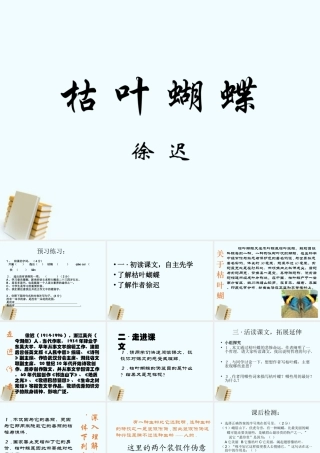 七年级语文上册 第24课(枯叶蝴蝶)课件 鲁教版 课件