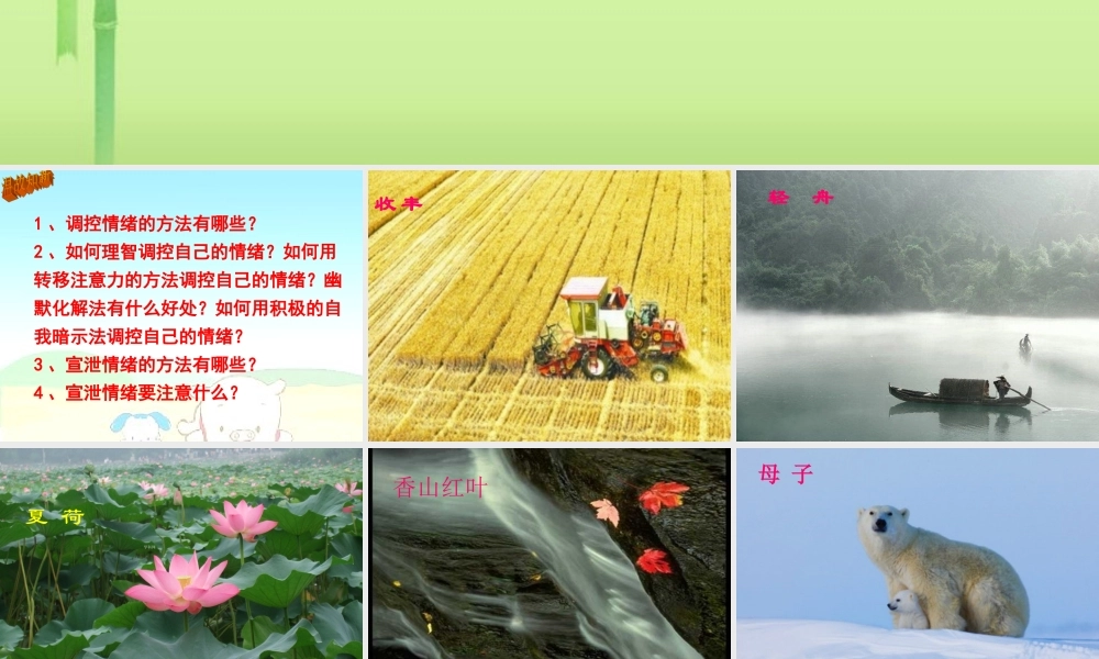 中学七年级政治下册 第十四课 第一节 生活处处有情趣课件 新人教版 课件