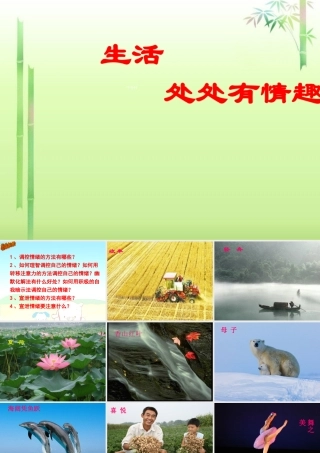 中学七年级政治下册 第十四课 第一节 生活处处有情趣课件 新人教版 课件