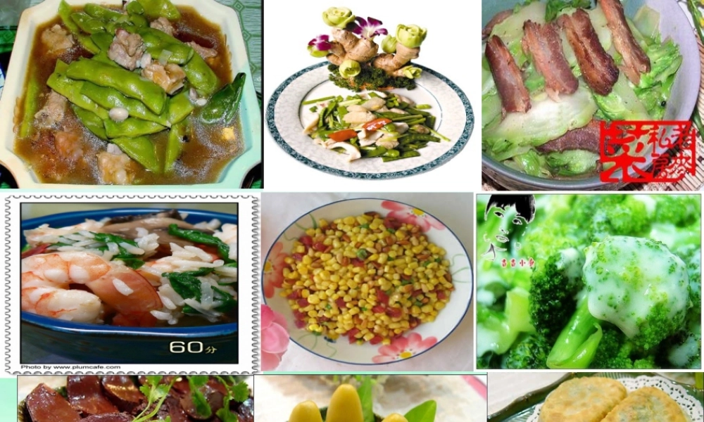 七年级生物 合理营养和食品安全的课件 新人教版 课件