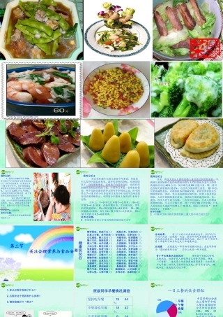 七年级生物 合理营养和食品安全的课件 新人教版 课件