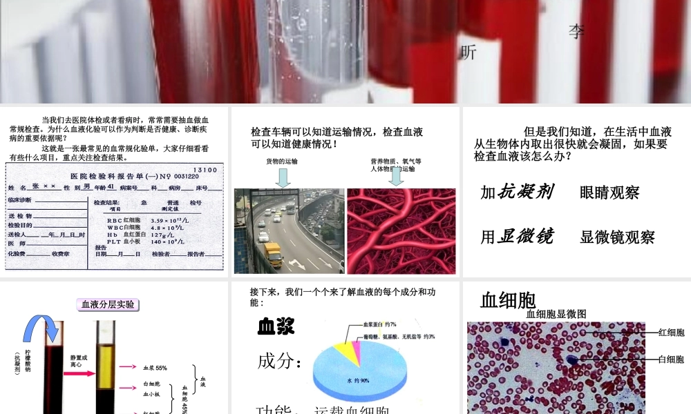 流动的组织—血液