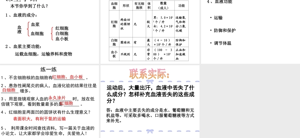 流动的组织—血液