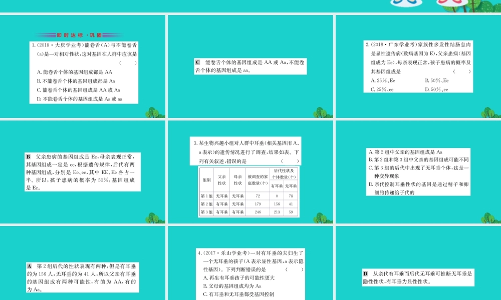 八年级生物下册 7.2.3 基因的显性和隐性习题课件(新版)新人教版 课件