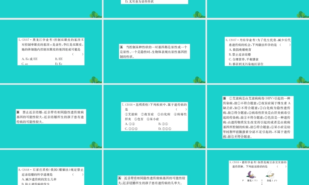 八年级生物下册 7.2.3 基因的显性和隐性习题课件(新版)新人教版 课件