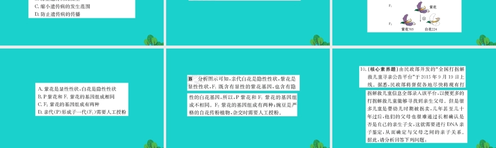 八年级生物下册 7.2.3 基因的显性和隐性习题课件(新版)新人教版 课件