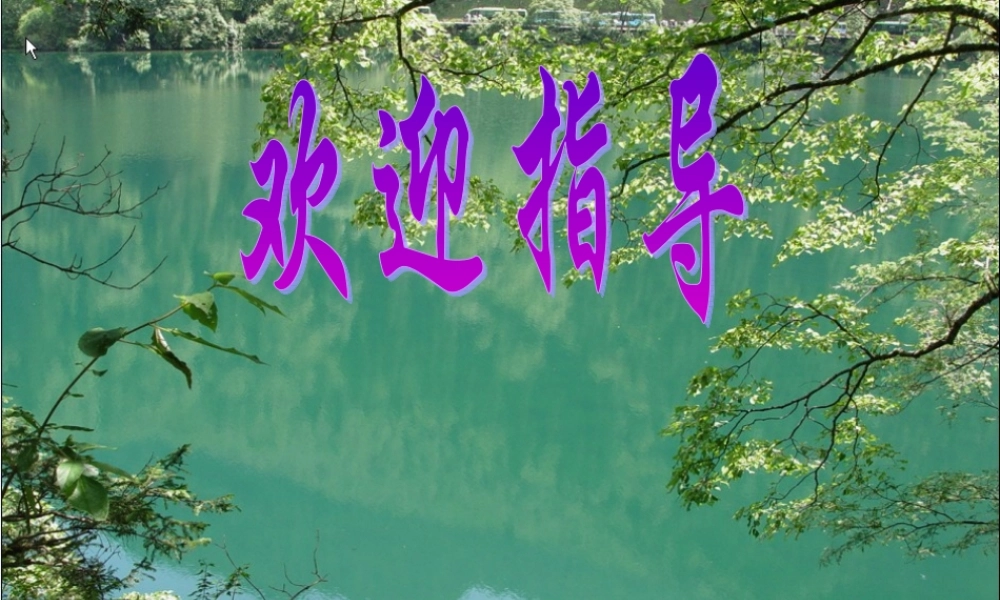 八年级语文下册 第4课(事物的正确答案不止一个)课件 北京课改版 课件