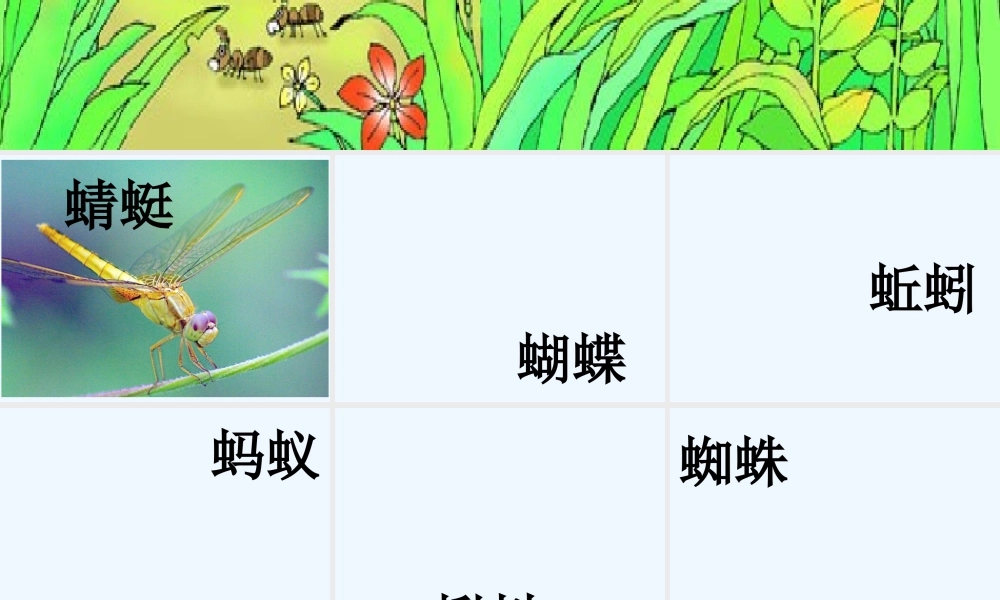 (部编)人教语文2011课标版一年级下册5.《动物儿歌》